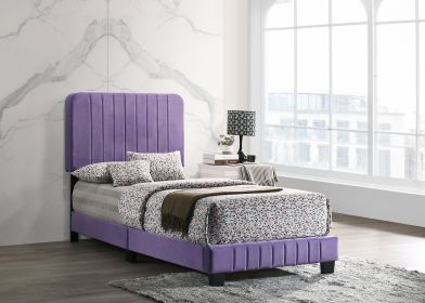 Glory Furniture Lodi G0502-TB-UP TWIN BED , PURPLE