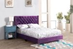 Glory Furniture Julie G1921-QB-UP Queen Upholstered Bed , PURPLE