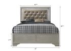 Modern Champagne Crocodile Skin Finish Upholstered 1pc Queen Size LED Panel Bed Faux Diamond Tufted Bedroom Furniture